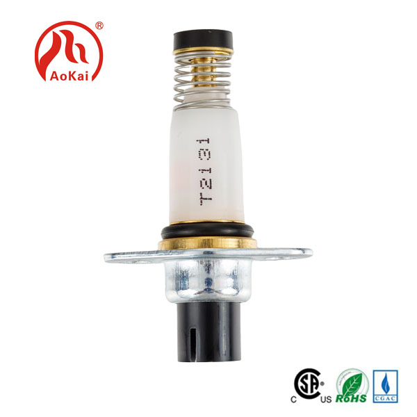 Zein forma izango da solenoide balbulen etorkizuneko garapen joera?