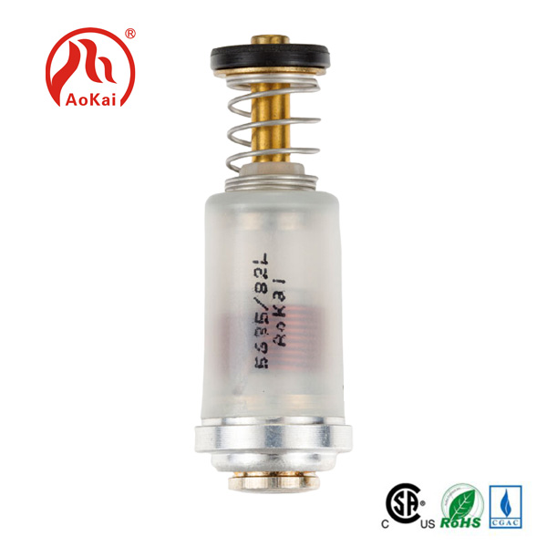PGL eta NG iman orkli solenoide balbula